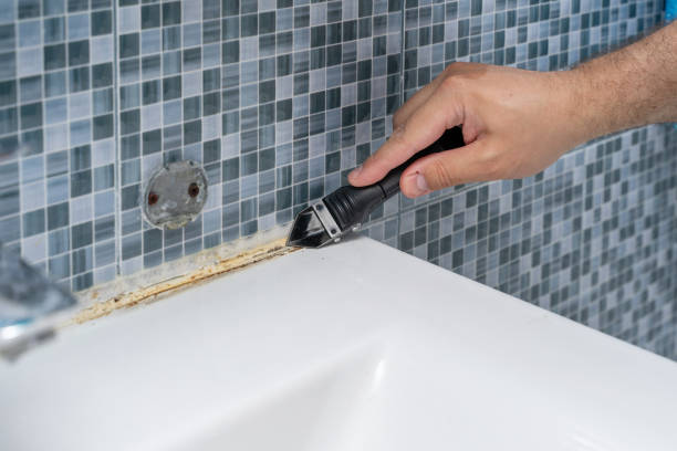 Best Local Mold Removal Service  in Ocklawaha, FL
